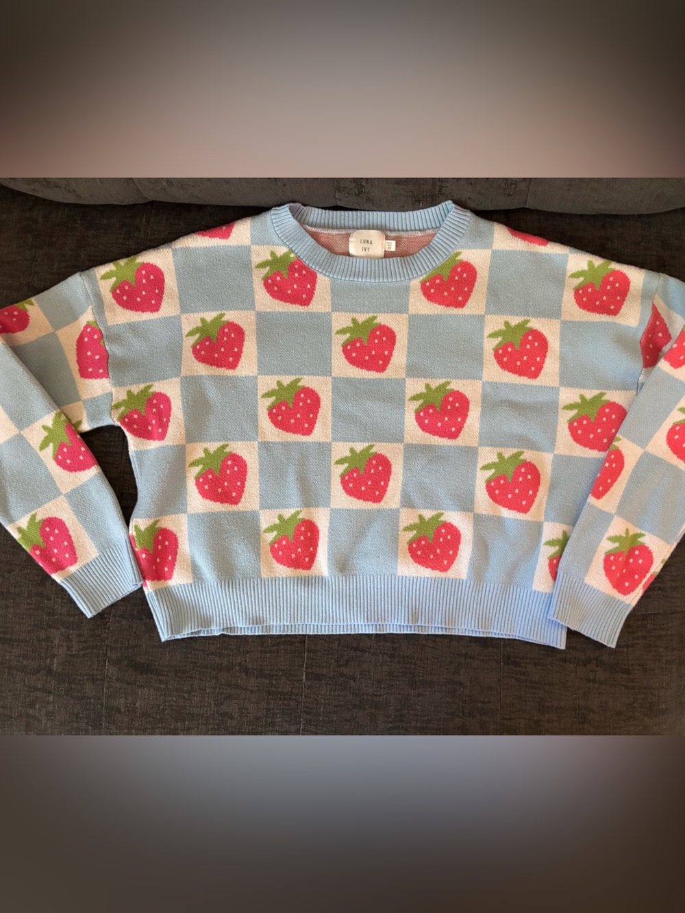 Luna Ivy XS Strawberry Checkerboard Sweater – Blue & Pink